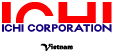 Vietnam Consulting Group
