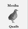 Meriba Quails: Seller of: eggs, quail, quail eggs, quail meat, meat, pickled eggs, pickled quail eggs, fresh quail eggs.