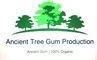 Ancient Tree Gum Production: Seller of: tree gums, myrrh, beyo resin, beyo resin, molmol.