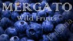 Mergato Wild Fruits OOD: Regular Seller, Supplier of: bilberry, blackberry.