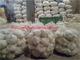 Irans Garlic: Seller of: every irans crop, nuts, garlic, fruts, fresh.