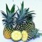Pineapple Honey Indonesia: Seller of: pineapple. Buyer of: pineapple.