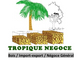 Tropique Negoce: Regular Seller, Supplier of: teak wook, iroko, gmelina wood, sapeli, vener wood.
