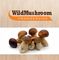 Wild Mushroom Ltd: Seller of: wild mushrooms, fresh mushrooms, dried mushrooms, fresh truffles, tuber melanosporum, porcini, boletus, chanterelle, mushrooms in retail packages.