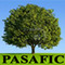 Pasafic Agro Industries: Seller of: plant growth regulator, soil conditione, bio fertilizer optimizer, organic fertilizer, bio feed supplement, organic humic acid, poultry and cattle feed supplement, fish food, fish firming product.