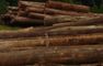 Houtzagerij De Combinatie N.V.: Seller of: furniture, gezaagd hout, houtblokken, logs, mouldings, sawn timber, timber lumber, tropical logs wood, zagerij. Buyer of: logs, sawmill machinery, skidders, brazil.