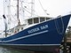 Anchor Seafood: Seller of: shrimp, vessels. Buyer of: diesel, oil.