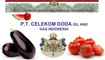 Pt. Celekom Doda Oil And Gas Indonesia: Regular Seller, Supplier of: tomatoes, pepper, cucumber-long and short, eggplant, watermelon, melon, pepper: green red and yellow, tomatoes: bola roma and cherry, in 120ha greenhouse farm. Buyer, Regular Buyer of: auto and manual g-box, automobil engines, italian botton, tyres, quality bottons, suspensions, technic, turbo charge, wheels.