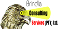 Brindle Consulting Services (pty)LTD