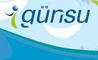 Gunsu: Regular Seller, Supplier of: cleaning products, disinfectants, pool chemicals, water treatements for industry, professional food service products, industrial cleaners, industrial closed circuit maintenance products.