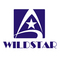 Wildstar Technology International Limited: Seller of: laptop adapter, ac adapter, dc adapter.