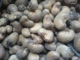 Cameroon Agricultural Products: Seller of: raw cashew nuts. Buyer of: raw cashew nuts.