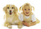 China BABY Pet Products  Manufacturer: Seller of: pet collar, pet leash, pet harness, pet toys, pet tag, pet accessories, pet products, pet supplies, pet lead.
