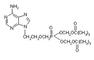 Shandong univ Pham lab: Regular Seller, Supplier of: adefovir dipivixil.