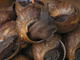 Oaktows Global Limited: Seller of: african food stuff, snails.