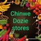 Chinwe Dozie: Seller of: honey, ogbono, bitterkola, charcoal, gingergarlic, crayfish, cashew nuts, melon, dry fish.