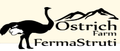 Ostrich Farm Valcea: Seller of: ostrich meat, ostrich leather, ostrich feather, ostrich eggs, ostrich shells.