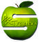 AR Traders: Seller of: apple, grapes, mango, all kind of fresh vegetables, best qulity rice, garments items.