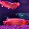 Univesafishfarm