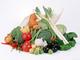 Veso Promet: Regular Seller, Supplier of: cabbage, cucumbers, tomatos, red pepper.
