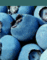 DEXSRL: Seller of: fresh blueberry, frozen blueberry.