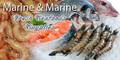 Marine & Marine Seafood: Seller of: red snapper, squad, indian mackrel, crab, eel, silver, grouper.