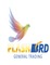 Flashbird General Trading: Buyer of: axe deo, dove, nivea, monster energy, nestle, mars, snickers, coca cola, pampers.