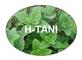 H-Tani: Seller of: grass jelly raw material, mesona chinensis, cincau, liang fen cao, suong sao, grass jelly extract powder, grass jelly dried plant.