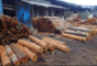 Butha Pulp Factory Ltd: Seller of: fire wood, 8mm bulk pellets, a4 copy paper, wood pellet, 6mm wood pellets, a4 paper, wood, wood chip, wood pellets. Buyer of: water.