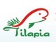 Hainan Xintaisheng Industry Co., Ltd.: Seller of: frozen tilapia, tilapia fillets, kosher fillets, fillets with black pepper. Buyer of: live tilapia fish.
