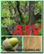 ASV: Seller of: top-layers, lamellas, oak, oak lumbers, oak lamellas, parquet.