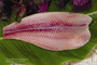 Idi Corporation: Regular Seller, Supplier of: pangasius fillets well-trimmed, pangasius steaks, pangasius butterfly cut, pangasius portion, pangasius fillets untrimmed.