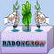 Radongrow: Seller of: hydroponics nutrient, hydroponic nutrients, micronutrients, nutrient, nutrients.