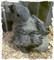 Pretorius Parrots: Seller of: baby african grey parrots, aviplus parrot food, african grey cages. Buyer of: aviplus parrot food, african grey cages.