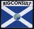 RIGCONSULT Ltd