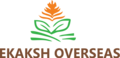 Ekaksh Overseas: Seller of: all types of indian spices, dehydrated onion, dehydrated garlic, dehydrated vegetables, raw cotton, maize starch, grains, oil seeds.