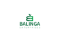 Balinga Enterprises Nig Ltd: Seller of: cocoa beans, cashew nuts, cnsl, pea nutsoil, shea nutsbutter, ginger, sesame seed, hibiscus flower, soya beans. Buyer of: wheat, corn flour, sugar.