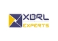 XBRL Experts