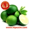 Hoang Long Phung Exim Co., Ltd: Seller of: dragon fruit, mangosteen, rambutan, chilli, mature coconut, soursop fruit, cherimoya, sapodilla, cat chu mango.