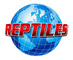 Reptiles Planet & Pet Studio: Seller of: live tortoise, live birds, live mammals, live reptiles.