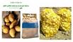 Agro Task: Seller of: potato, onion, watermelon, nut, vegetables, potatoes, fresh fruit, dried fruit, ston fruit.