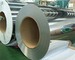 Foshan Apex Stainless Steel Company Limited: Seller of: 201304stainless steel welded pipes, 201stainless steel coils, 201430 stainless steel sheets, 430410 ba circles, stainless steel cold rolled coils, stainless steel 2bba sheets, etchedembossed steel sheets, 201430stainlesssteel circle, stainless steel 430410 ba circles.
