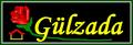 Gulzada Construction Company