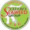 Celebes Seaweed Group: Seller of: dried gracilaria, dried seaweed.