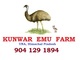 Kunwar Emu Farm & Hatchery: Seller of: emu, emu chicks, emu eggs, emu oil, emu meat, emu leather, emu feathers, emu claws, emu medicines. Buyer of: emu, emu chicks, emu eggs, emu oil.
