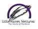 Little Raven-Ventures