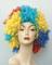 Huasheng Wig: Regular Seller, Supplier of: africa wig, christmas wig, fans wig, holiday wig, model wig, non mainstream wig, wig accessories, halloween wig.