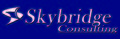 Skybridge Consulting