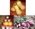 OPG Hranjec: Seller of: butternut squash, sweet potatoes. Buyer of: butternut squash seed.
