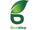 Bentley sanitary ware Co., Ltd: Seller of: toilet, intelligent toilet, squatting wc pan, art basin, pedestal, faucet, bathroom cabinet, urinal, sprinkler.
